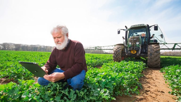 Como a Inteligência Artificial vai transformar o agronegócio Como a Inteligência Artificial vai transformar o agronegócio