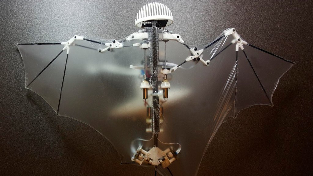 Cientistas americanos criam um “drone-morcego” Cientistas americanos criam um “drone-morcego”