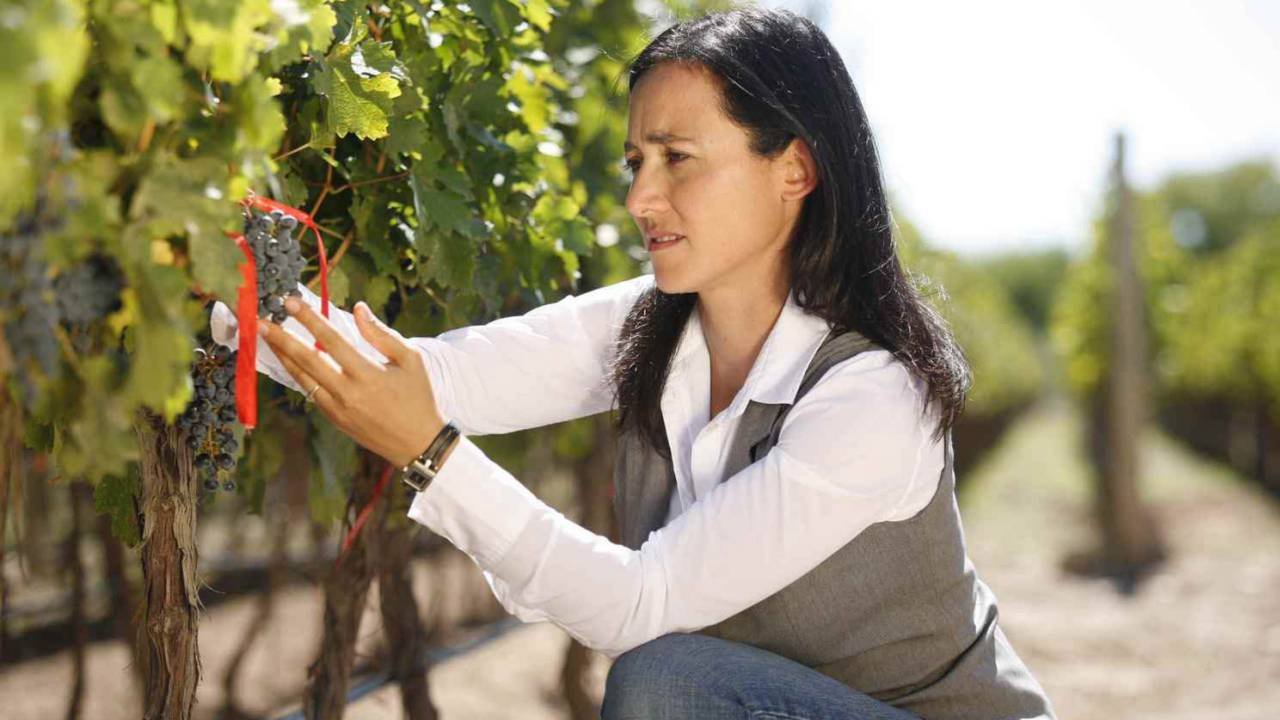 A polivalente Laura Catena e seu trabalho nos vinhos argentinos A polivalente Laura Catena e seu trabalho nos vinhos argentinos