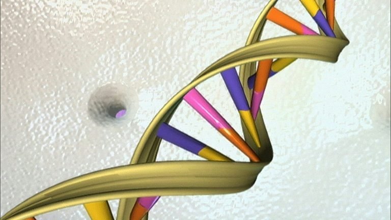 Stanford investiga relação de cientistas da faculdade com edição de DNA de bebês Stanford investiga relação de cientistas da faculdade com edição de DNA de bebês