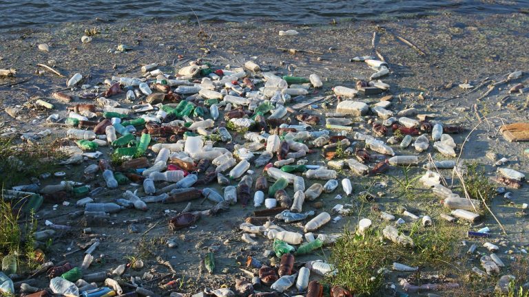 Garrafas plásticas se tornam a principal fonte de lixo nos oceanos