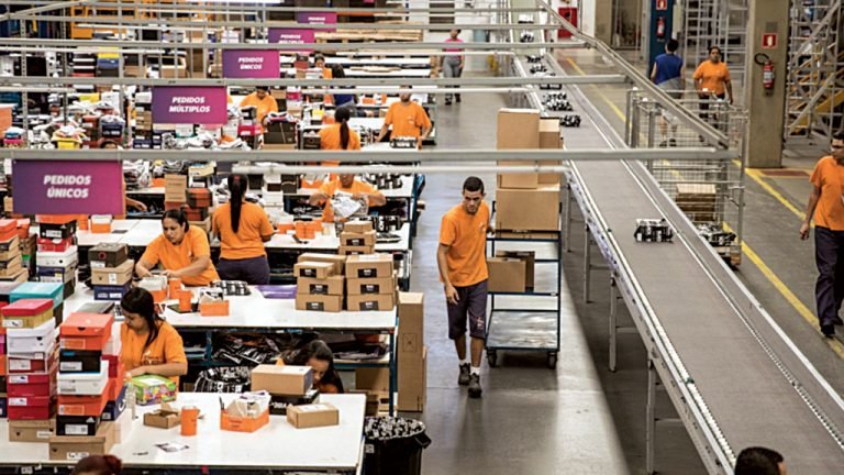 O Magazine Luiza vai lucrar com o investimento na Netshoes?