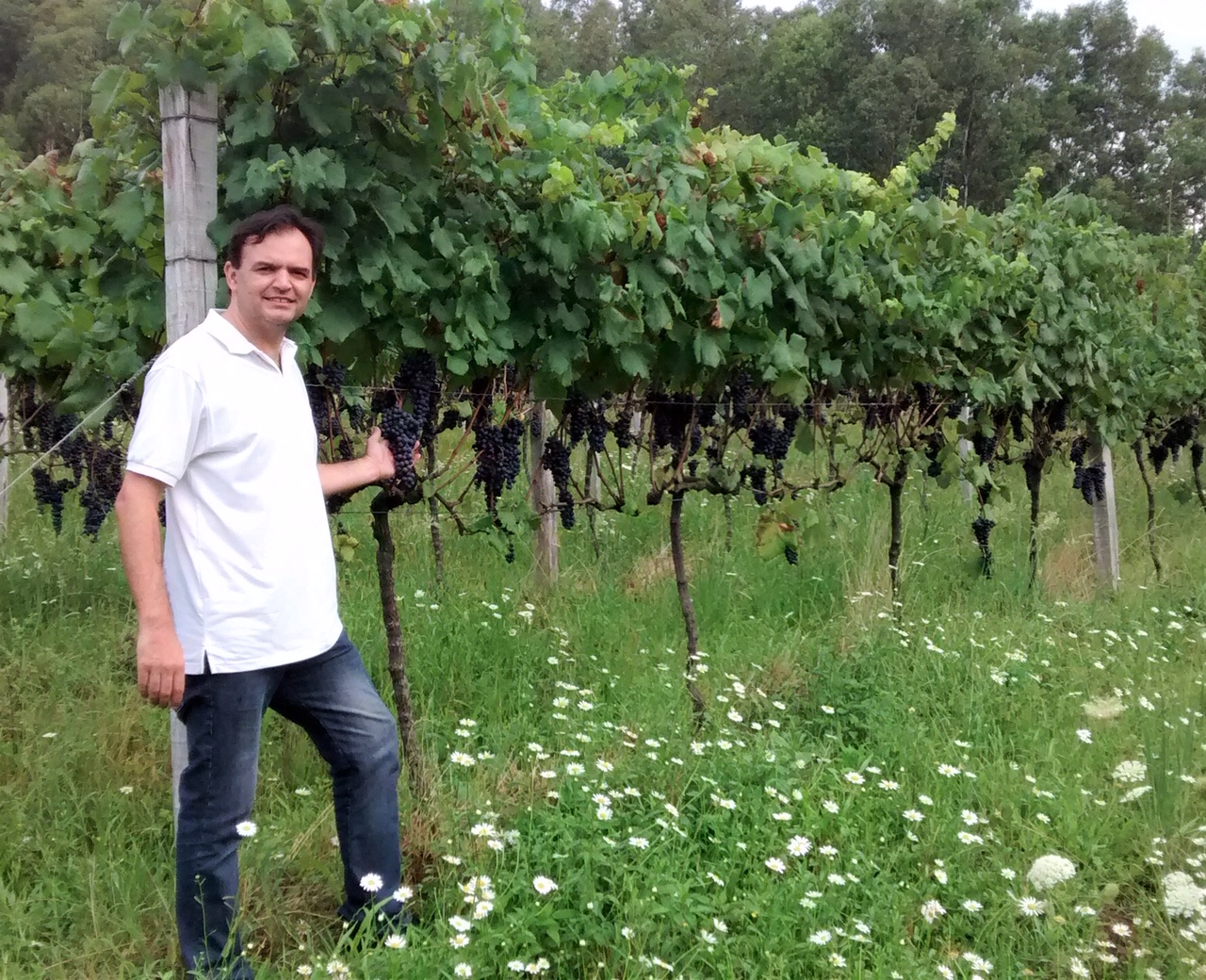 A ideia de ter um vinho natural e de fermentar uma uva branca, como a Peverella, junto com as cascas, ganhou força em 2007.