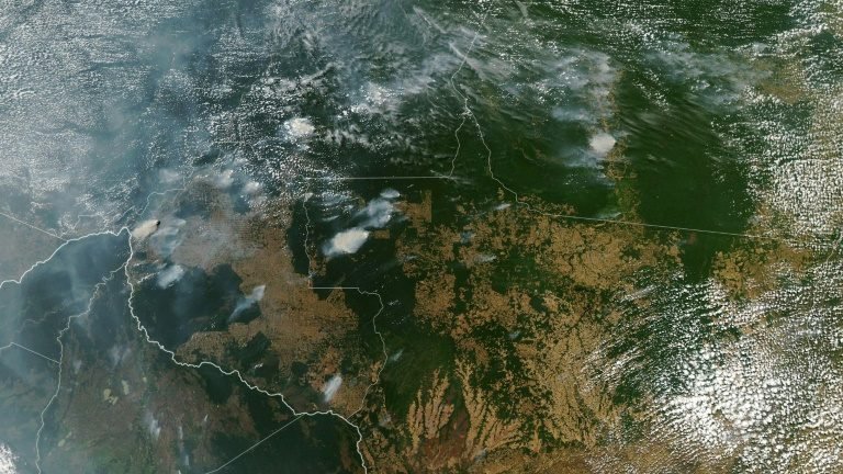 Incêndios na Floresta Amazônica são alvo de desinformação Incêndios na Floresta Amazônica são alvo de desinformação