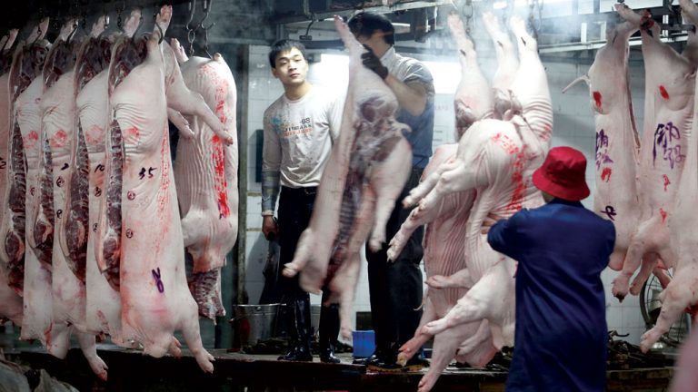 Oportunidade: com 1,42 bilhão de habitantes e PIB de US$ 13,6 trilhões,  a China tem enorme demanda de carne suína, o que poderá ser bom para o Brasil