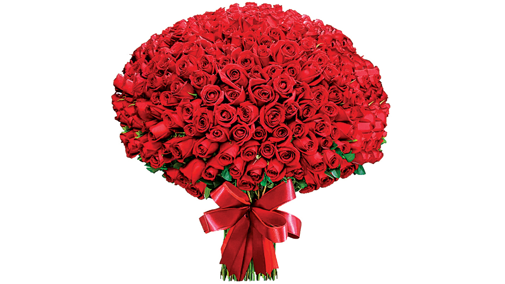 Buquê de 500 rosas vermelhas - ISTOÉ DINHEIRO