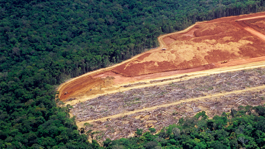 O capital quer proteger a Amazônia