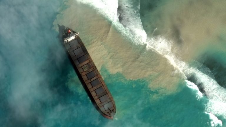 Maurício declara estado de emergência ambiental após derramamento de petróleo Maurício declara estado de emergência ambiental após derramamento de petróleo