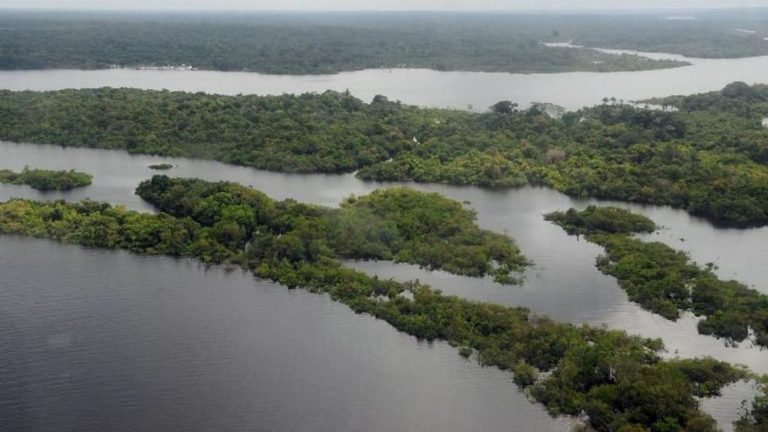 Crédito: Arquivo/Agência Brasil Crédito: Arquivo/Agência Brasil