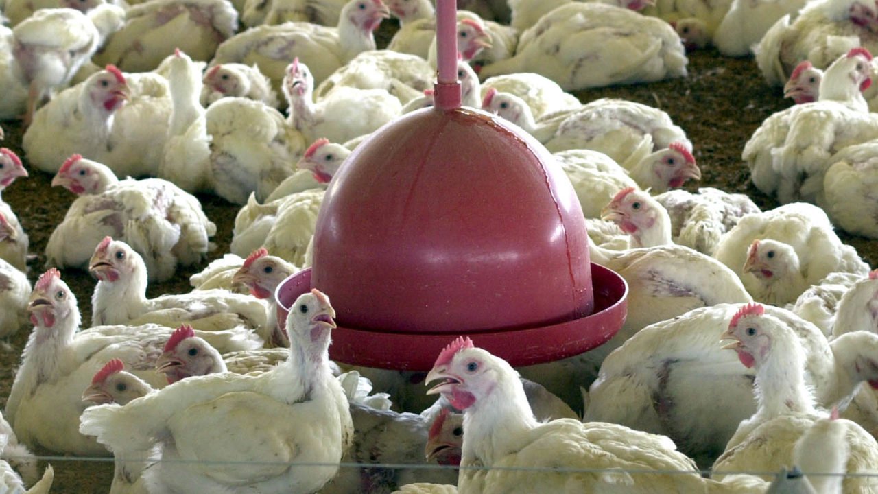 Crédito: Arquivo/Agência Brasil Crédito: Arquivo/Agência Brasil