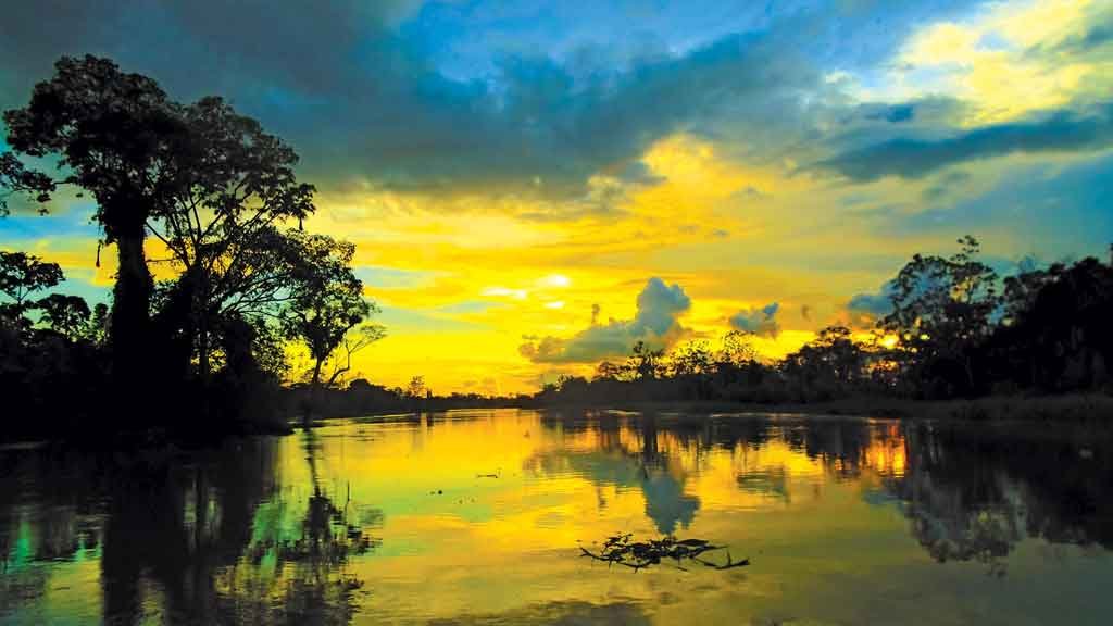 Amazônia mais limpa Amazônia mais limpa