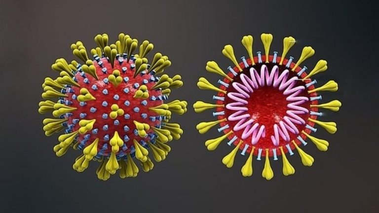 Crédito: Scientific Aanimations/Wikimedia Commons/ Divulgação Crédito: Scientific Aanimations/Wikimedia Commons/ Divulgação