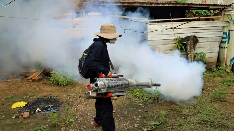 Peru declara alerta epidemiológico por surto de dengue Peru declara alerta epidemiológico por surto de dengue