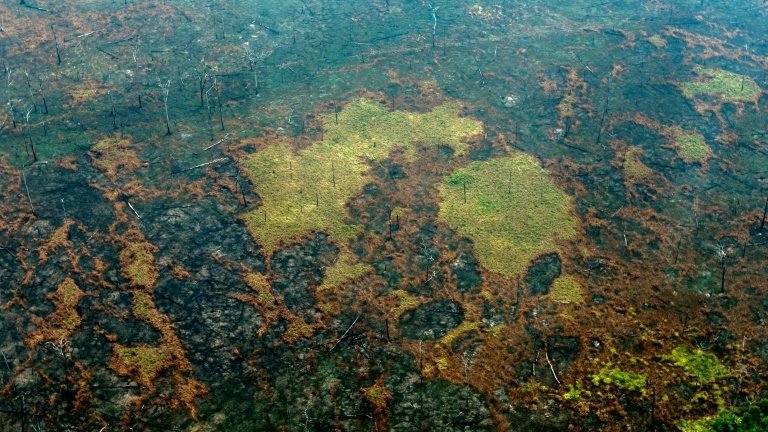 Voracidade dos países ricos é motor do desmatamento tropical, diz estudo Voracidade dos países ricos é motor do desmatamento tropical, diz estudo