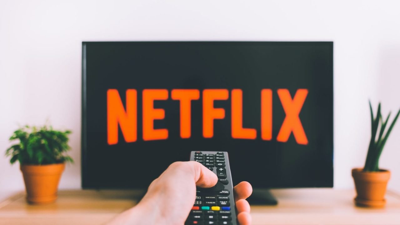 Crédito: Reprodução/Pexels Crédito: Reprodução/Pexels