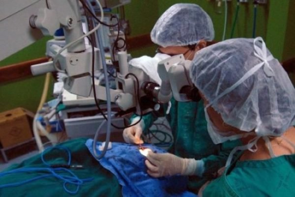 Crédito: Arquivo Agência Brasil Crédito: Arquivo Agência Brasil