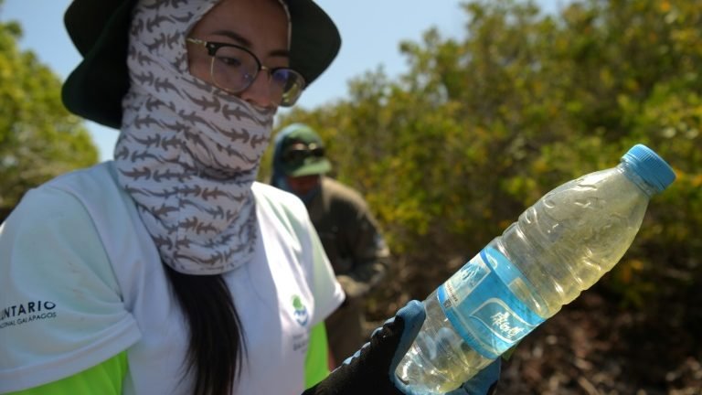 Cientistas desenvolvem instrumento de combate à poluição de plástico em Galápagos Cientistas desenvolvem instrumento de combate à poluição de plástico em Galápagos
