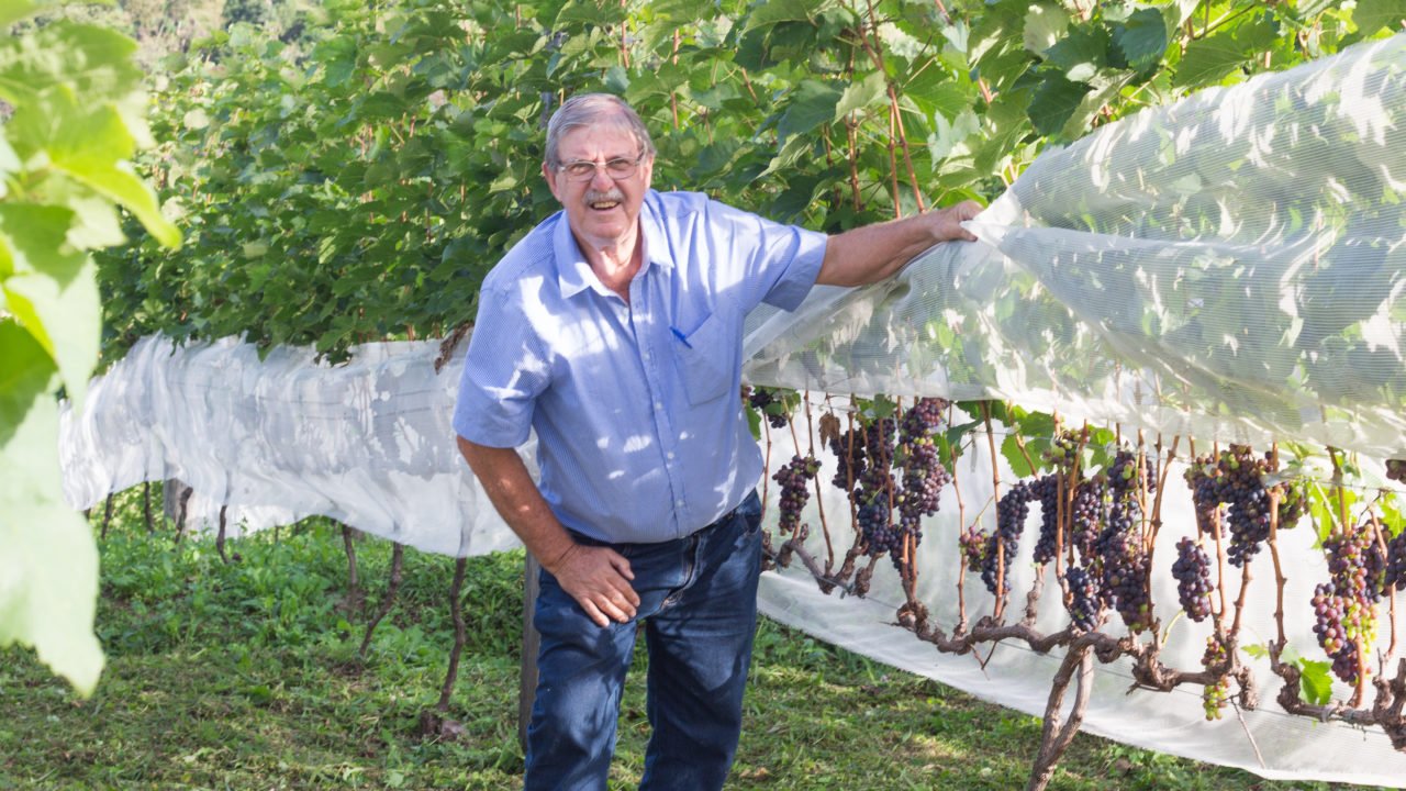 Um exemplo para todos os vinhos brasileiros de inverno Um exemplo para todos os vinhos brasileiros de inverno