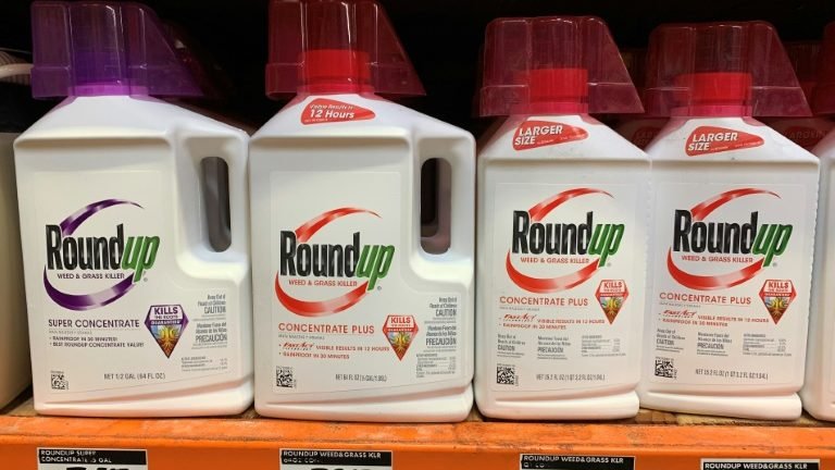 Tribunal dos EUA confirma condenação contra Monsanto sobre efeitos do glifosato Tribunal dos EUA confirma condenação contra Monsanto sobre efeitos do glifosato