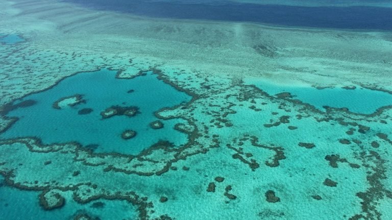 Austrália se oporá a listar a Grande Barreira de Corais como patrimônio em perigo Austrália se oporá a listar a Grande Barreira de Corais como patrimônio em perigo