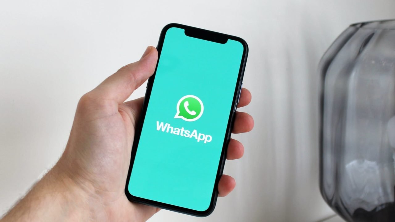 Crédito: Reprodução/Pexels Crédito: Reprodução/Pexels