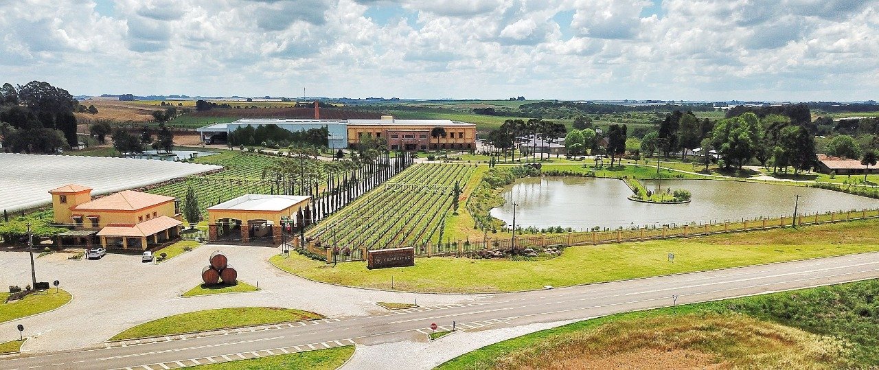 A ótima safra de medalhas do Brasil na Europa A ótima safra de medalhas do Brasil na Europa