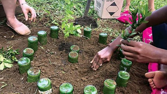 Busca-se voluntários pela Amazônia Busca-se voluntários pela Amazônia