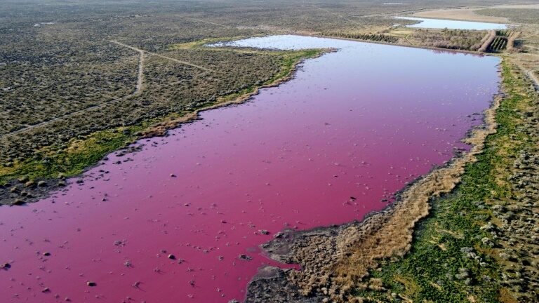 Lagoa rosa na Patagônia ‘é a imagem da negligência’, acusa ambientalista Lagoa rosa na Patagônia ‘é a imagem da negligência’, acusa ambientalista
