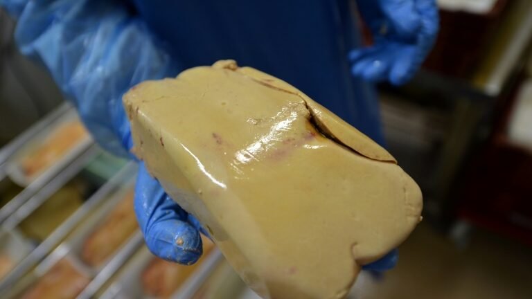 Empresa francesa se lança na produção de foie gras de laboratório Empresa francesa se lança na produção de foie gras de laboratório