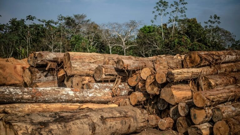 Dados de satélite ajudam indígenas a reduzir o desmatamento na Amazônia peruana Dados de satélite ajudam indígenas a reduzir o desmatamento na Amazônia peruana