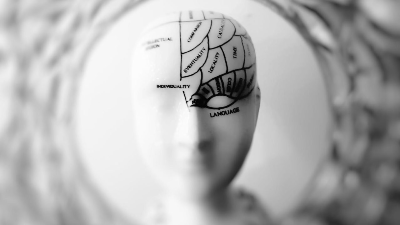 Crédito: Reprodução/Pexels Crédito: Reprodução/Pexels