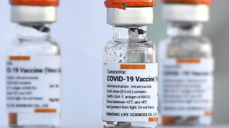Chile anuncia instalação de duas fábricas da Sinovac para produção de vacinas Chile anuncia instalação de duas fábricas da Sinovac para produção de vacinas