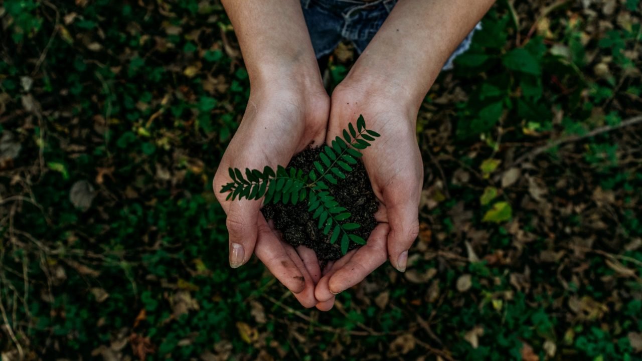Crédito: Unsplash Crédito: Unsplash