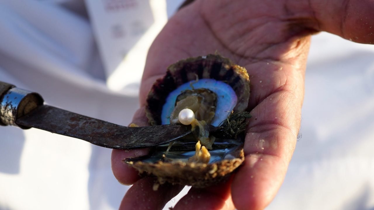 Crédito: Reprodução/Pexels Crédito: Reprodução/Pexels