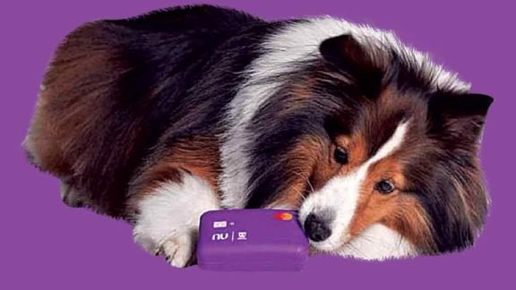 Cartão bom para cachorro Cartão bom para cachorro