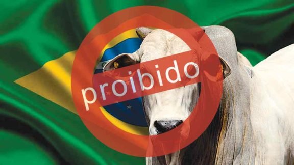 Ameaça ao gado Ameaça ao gado
