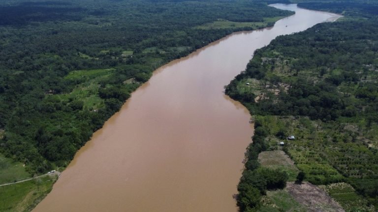 Guerrilheiros estão por trás de ‘desmatamento agressivo’ na Amazônia colombiana Guerrilheiros estão por trás de ‘desmatamento agressivo’ na Amazônia colombiana