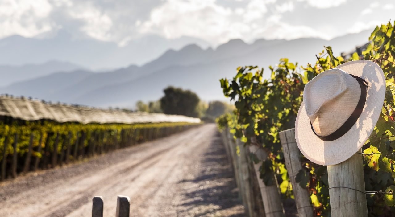 Terrazas de Los Andes Parcels: quatro estilos de Malbec e uma só assinatura (da LVMH) Terrazas de Los Andes Parcels: quatro estilos de Malbec e uma só assinatura (da LVMH)