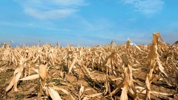 Extremos climáticos de Norte a Sul já custaram R$ 43,8 bilhões ao agronegócio Extremos climáticos de Norte a Sul já custaram R$ 43,8 bilhões ao agronegócio