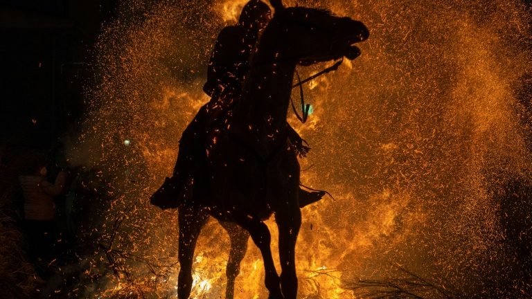 Cavalos atravessam chamas para evitar epidemias na Espanha Cavalos atravessam chamas para evitar epidemias na Espanha