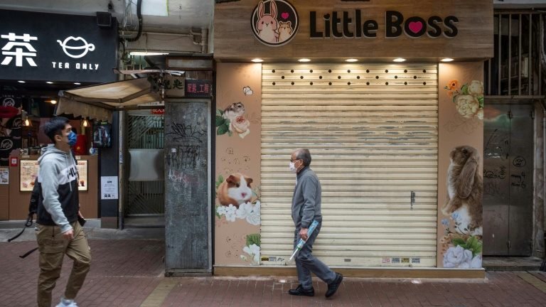 Hong Kong vai sacrificar hamsters após detectar casos de covid-19 Hong Kong vai sacrificar hamsters após detectar casos de covid-19