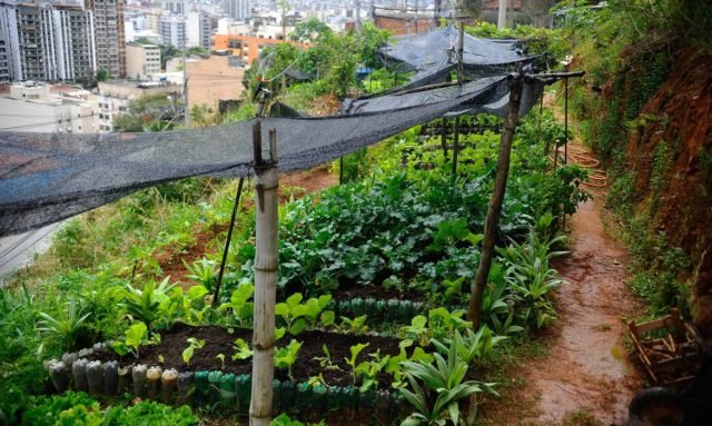 Crédito: Tomaz Silva/Agência Brasil Crédito: Tomaz Silva/Agência Brasil