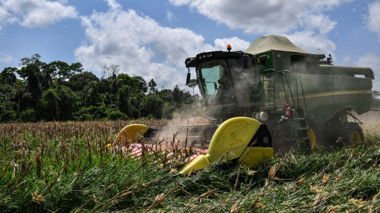 Brasil exportará mais milho com guerra na Ucrânia, mas teme por fertilizantes