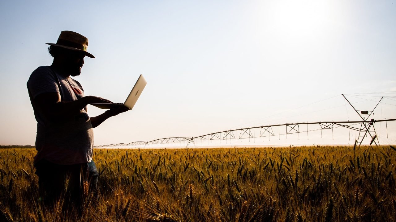 Crédito: CNA - Confederação da Agricultura e Pecuária do Brasil Crédito: CNA - Confederação da Agricultura e Pecuária do Brasil