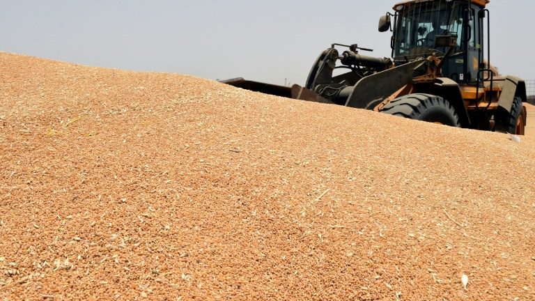 Chefe da ONU pede que Rússia libere exportações de cereais ucranianos