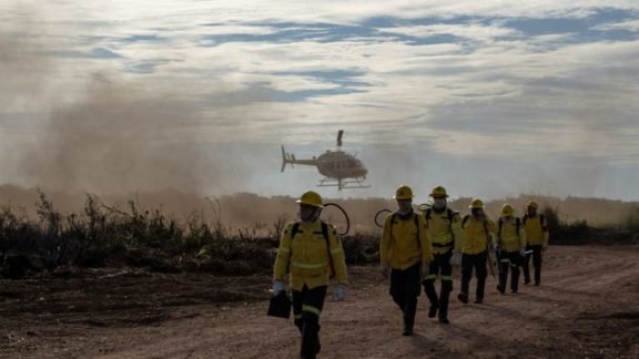 Concurso: Ibama tem mais de 1.000 vagas abertas em 17 estados e DF Concurso: Ibama tem mais de 1.000 vagas abertas em 17 estados e DF