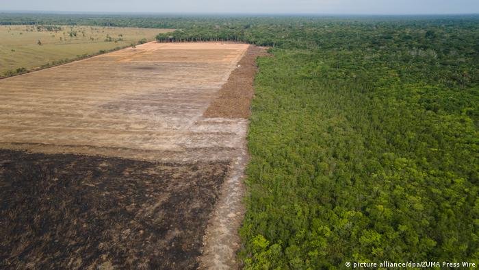 Dez anos de falhas e descumprimento do Código Florestal Dez anos de falhas e descumprimento do Código Florestal