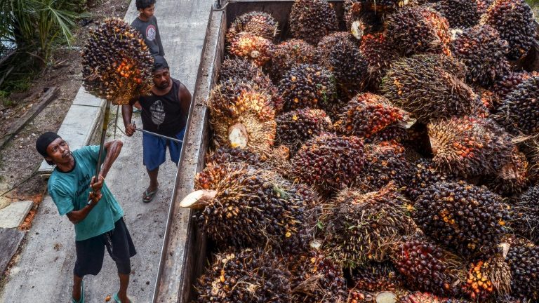 Indonésia vai autorizar retomada das exportações do óleo de palma
