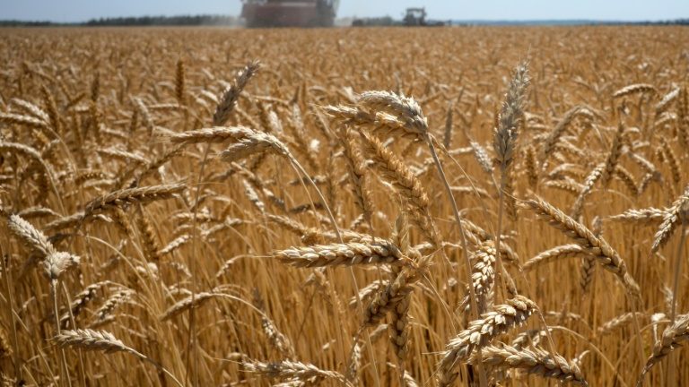 EUA pede à Rússia que abra portos ucranianos para libertar grãos