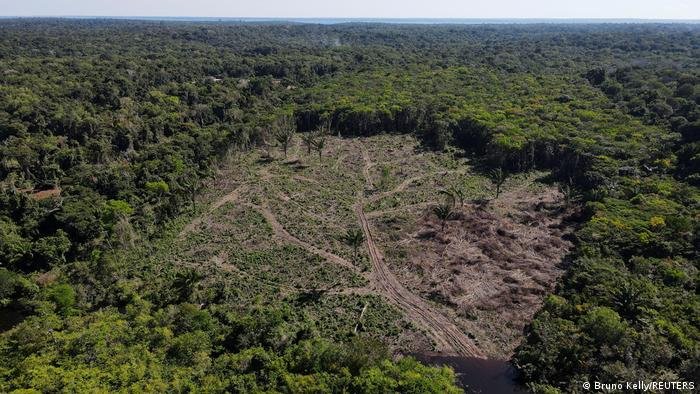 Alemanha sinaliza que vai desbloquear repasses ao Fundo Amaz&ocirc;nia - ISTO&Eacute;  DINHEIRO